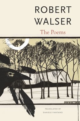 Robert Walser, Daniele Pantano - Poems, Inbunden