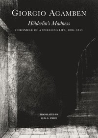 bokomslag Hlderlins Madness  Chronicle of a Dwelling Life, 18061843