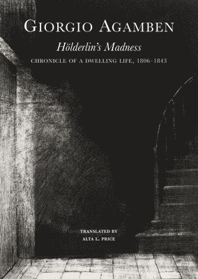 Hlderlins Madness  Chronicle of a Dwelling Life, 18061843 1