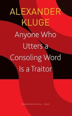 bokomslag Anyone Who Utters a Consoling Word Is a Traitor - 48 Stories for Fritz Bauer