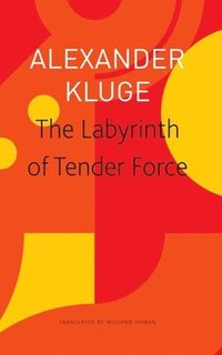 bokomslag The Labyrinth of Tender Force  166 Love Stories