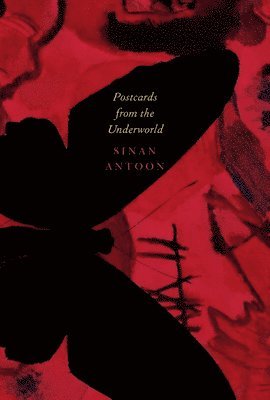 Sinan Antoon - Postcards from the Underworld – Poems, Häftad