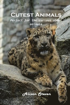 Alison Steven - Cutest Animals, Häftad