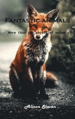 Alison Steven - Fantastic animals, Inbunden