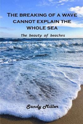 breaking of a wave cannot explain the whole sea