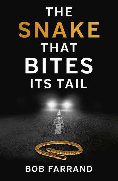 bokomslag Snake That Bites Its Tail