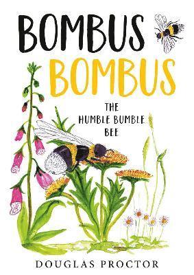 Bombus Bombus 1