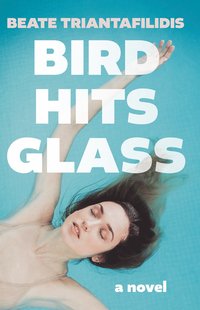 bokomslag Bird Hits Glass
