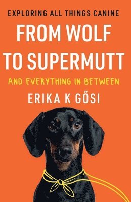 From Wolf to Supermutt and Everything In Between 1