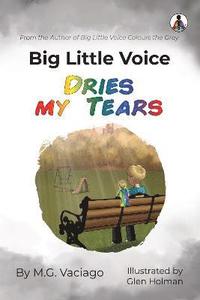 bokomslag Big Little Voice
