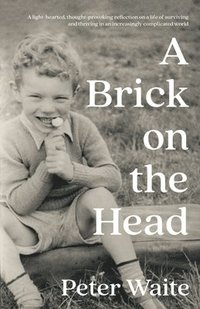 bokomslag A Brick on the Head