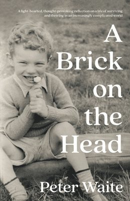 A Brick on the Head 1