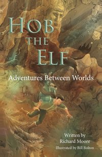 bokomslag Hob the Elf