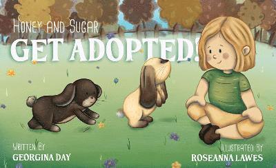 Honey & Sugar Get Adopted 1