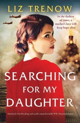 Searching for My Daughter 1