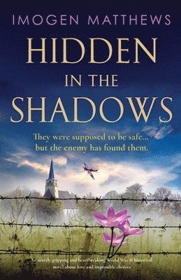 Hidden in the Shadows 1