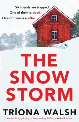 The Snowstorm 1