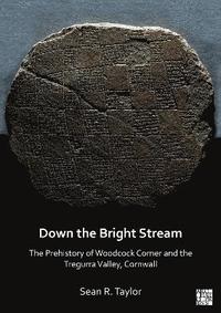 bokomslag Down the Bright Stream: The Prehistory of Woodcock Corner and the Tregurra Valley, Cornwall