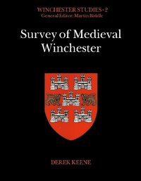 bokomslag Survey of Medieval Winchester