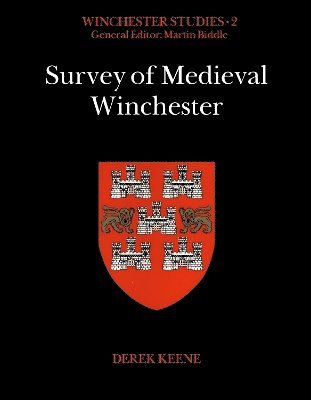Survey of Medieval Winchester 1
