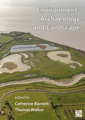 bokomslag Environment, Archaeology and Landscape: Papers in honour of Professor Martin Bell