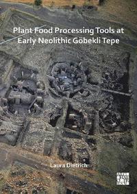 bokomslag Plant Food Processing Tools at Early Neolithic Gbekli Tepe