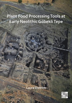 bokomslag Plant Food Processing Tools at Early Neolithic Göbekli Tepe
