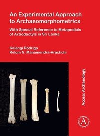 bokomslag An Experimental Approach to Archaeomorphometrics