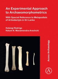 bokomslag Experimental Approach to Archaeomorphometrics