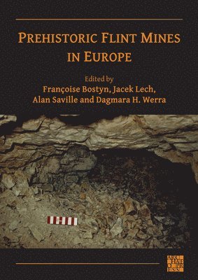 bokomslag Prehistoric Flint Mines in Europe