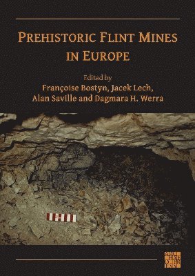 Prehistoric Flint Mines in Europe 1