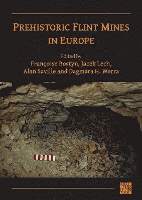 Françoise Bostyn, Jacek Lech, Alan Saville, Dagmara H. Werra, Paris 1-Pantheon-Sorbonne University) Bostyn, Francoise (Professor of Neolithic Archaeology, Warsaw) Lech, Jacek (Cardinal Wyszynski University, Polish Academy of Sciences) Werra, Dagmara H. (Institute of Archeology and Ethnology, Francoise Bostyn - Prehistoric Flint Mines in Europe, Häftad