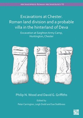 Philip N Wood, David G Griffiths, Philip N. Wood, David G. Griffiths, Peter Carrington, Leigh Dodd, Sue Stallibrass - Excavations at Chester. Roman Land Division and a Probable Villa in the Hinterland of Deva, Häftad