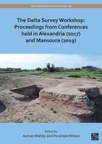 bokomslag Delta Survey Workshop: Proceedings from Conferences held in Alexandria (2017) and Mansoura (2019)