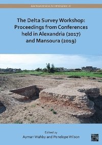 bokomslag The Delta Survey Workshop: Proceedings from Conferences held in Alexandria (2017) and Mansoura (2019)