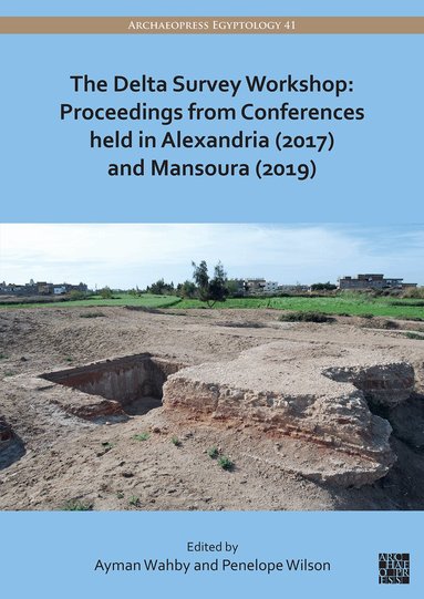 Ayman Wahby, Penelope Wilson - Delta Survey Workshop: Proceedings from Conferences held in Alexandria (2017) and Mansoura (2019), Häftad