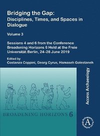 bokomslag Bridging the Gap: Disciplines, Times, and Spaces in Dialogue  Volume 3