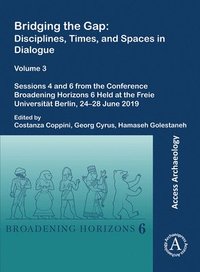 bokomslag Bridging the Gap: Disciplines, Times, and Spaces in Dialogue  Volume 3