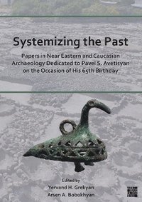 bokomslag Systemizing the Past