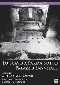 bokomslag Lo scavo a Parma sotto Palazzo Sanvitale