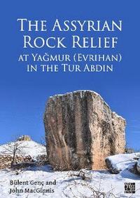 bokomslag The Assyrian Rock Relief at Yagmur (Evrihan) in the Tur Abdin