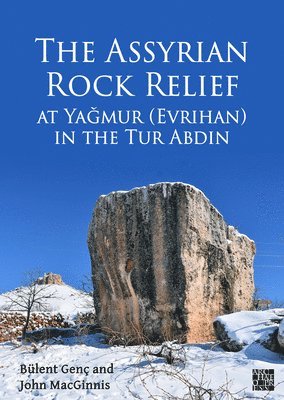 bokomslag Assyrian Rock Relief at Yagmur (Evrihan) in the Tur Abdin