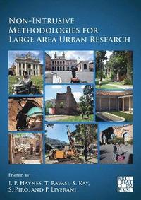 bokomslag Non-Intrusive Methodologies for Large Area Urban Research