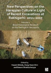 bokomslag New Perspectives on the Harappan Culture in Light of Recent Excavations at Rakhigarhi