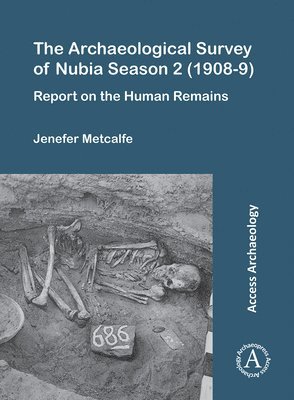 bokomslag Archaeological Survey of Nubia Season 2 (1908-9)