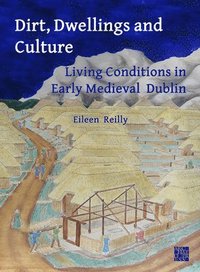 bokomslag Dirt, Dwellings and Culture