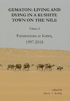 bokomslag Gematon: Living and Dying in a Kushite Town on the Nile, Volume I