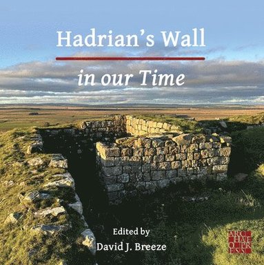 bokomslag Hadrian's Wall in our Time