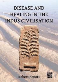 bokomslag Disease and Healing in the Indus Civilisation