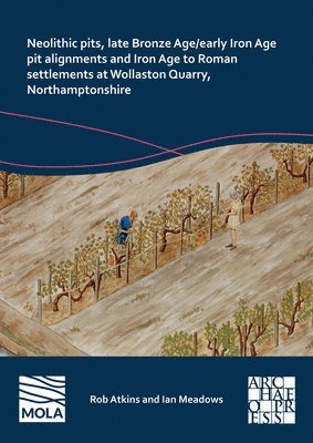 bokomslag Neolithic Pits, Late Bronze Age/Early Iron Age Pit Alignments and Iron Age to Roman Settlements at Wollaston Quarry, Northamptonshire